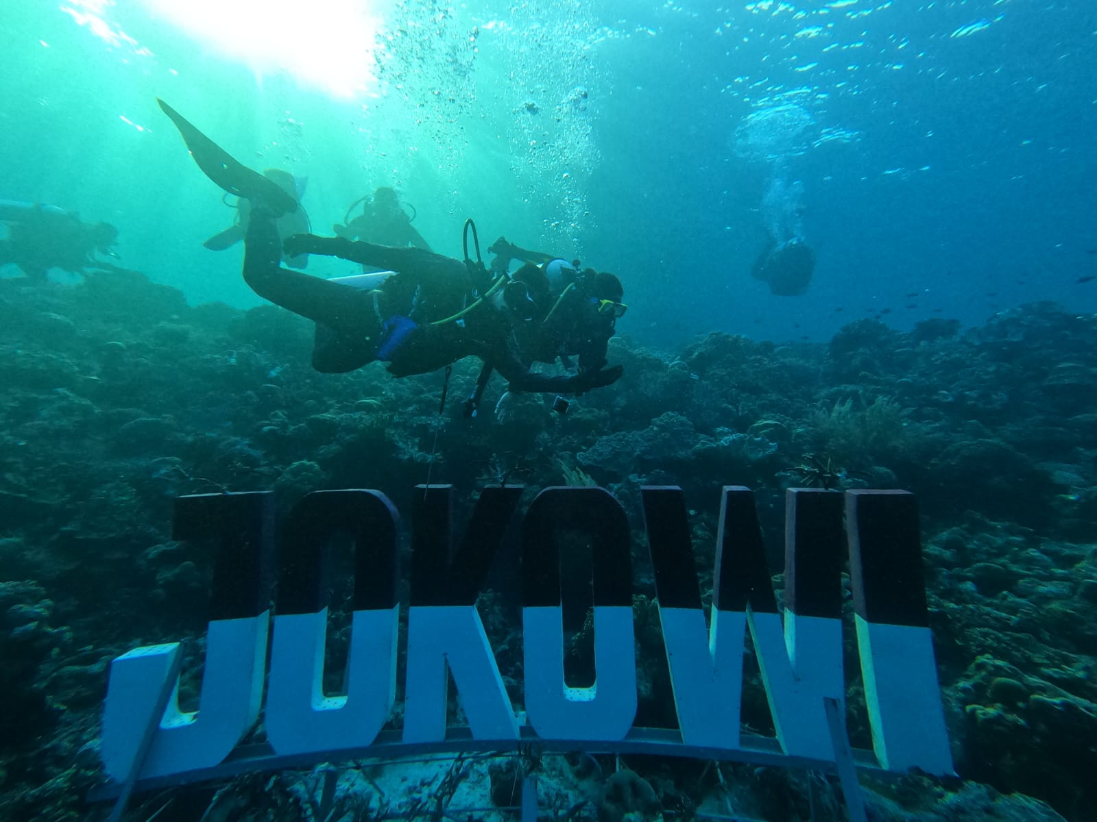 Pesona Spot Menyelam Jokowi Point, Daya Tarik Baru di Wakatobi