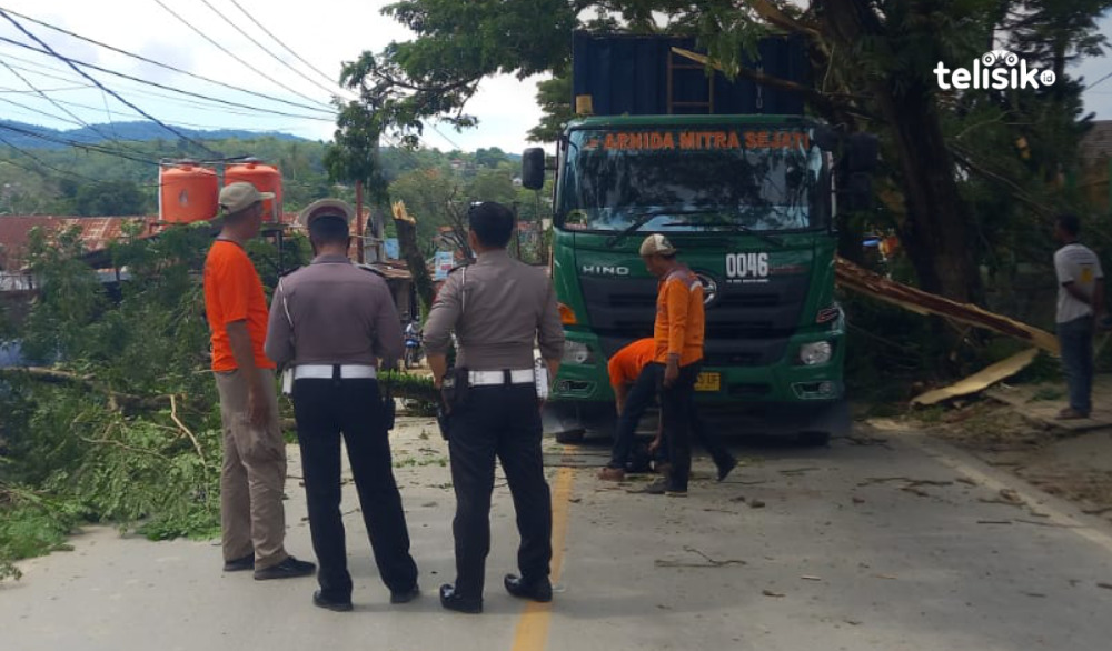 Truk Kontainer Tertimpa Batang Pohon, Sempat Bikin Macet