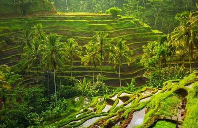 25 Kota Terbaik di Dunia 2022, Nomor 3 Mengagumkan