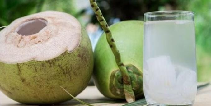 Air di Dalam Buah Kelapa Ternyata Berasal dari Tanah, Berikut Penjelasan Ilmiahnya