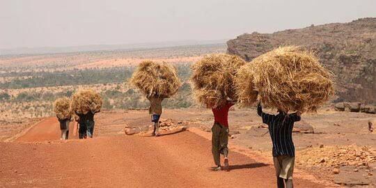 Deretan Negara Paling Panas di Dunia, Didominasi Benua Afrika