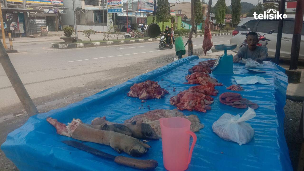 Jelang Idul Adha, Dinas Peternakan Konawe Pantau Kesehatan Hewan Kurban