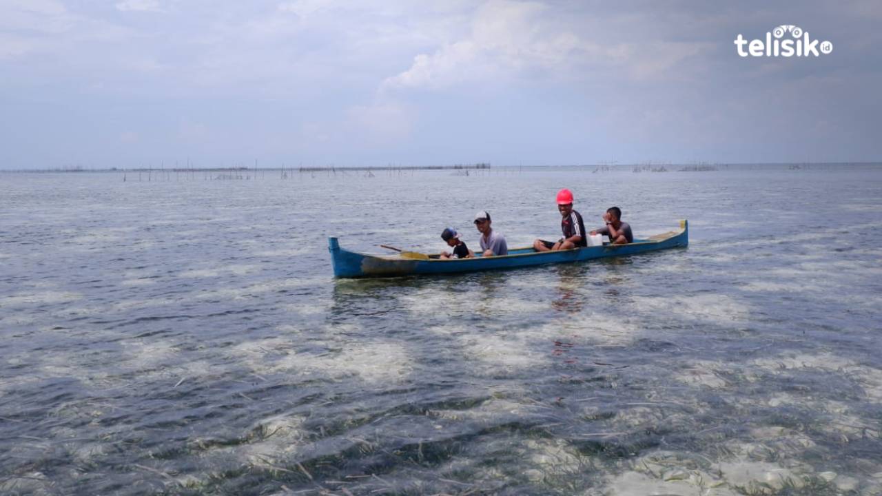 Laut Kaombo di Wabula, Warisan Kesultanan Buton yang Masih Dilestarikan
