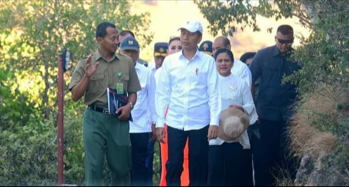 Pulau Rinca di Labuan Bajo, Jokowi: Kalau Mau Lihat Komodo Silahkan ke Sini