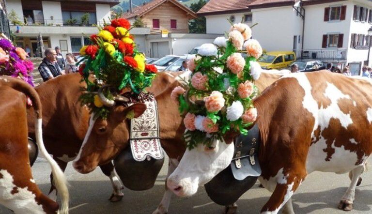 Selain Kurban Sapi dan Kambing, 10 Negara Ini Punya Tradisi Idul Adha yang Unik