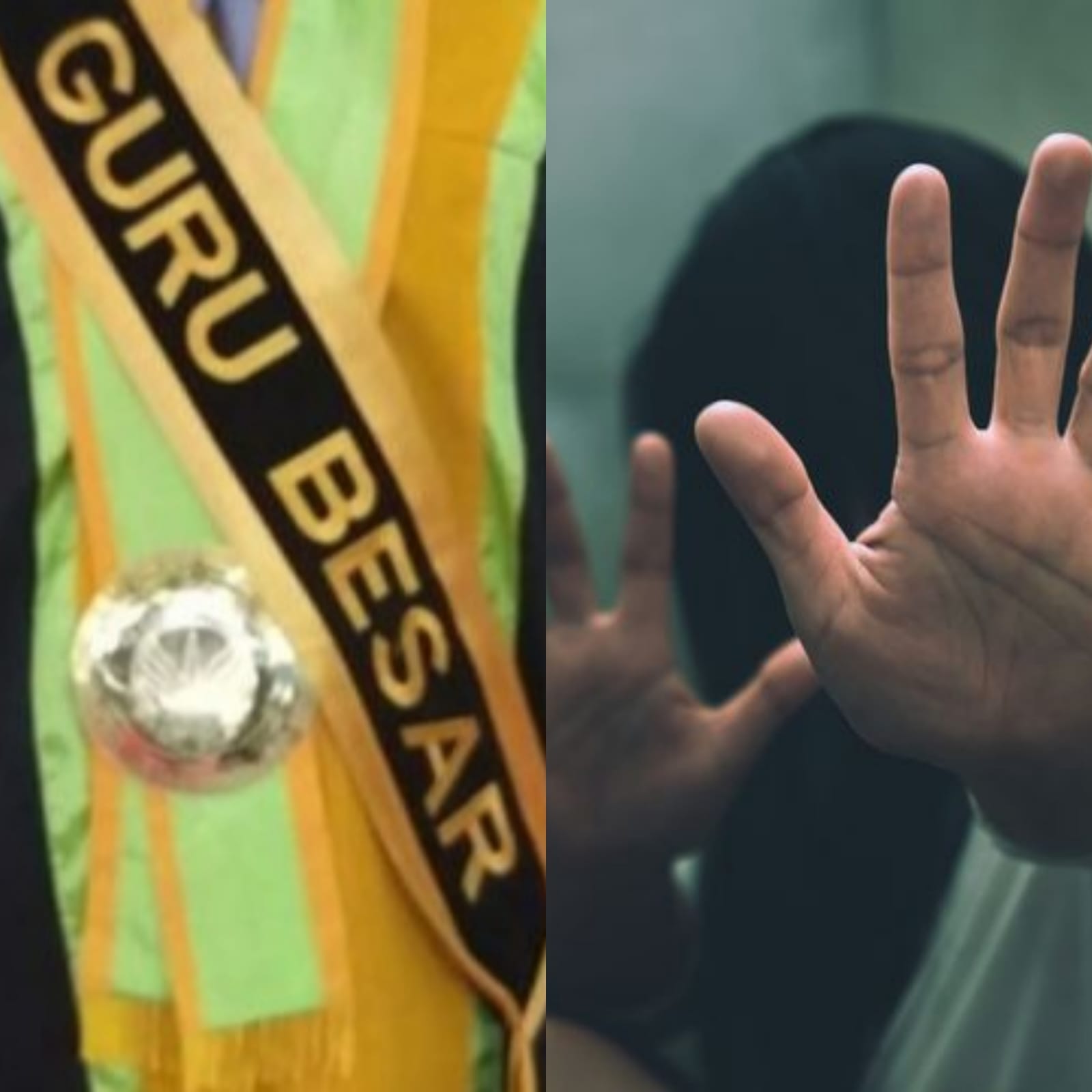 Ternyata Ini Sosok Oknum Dosen UHO yang Diduga Lecehkan Mahasiswi, Profesor di FKIP