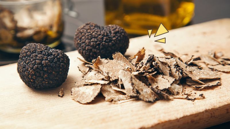Truffle, Jamur Termahal di Dunia dengan Segudang Manfaat untuk Kesehatan