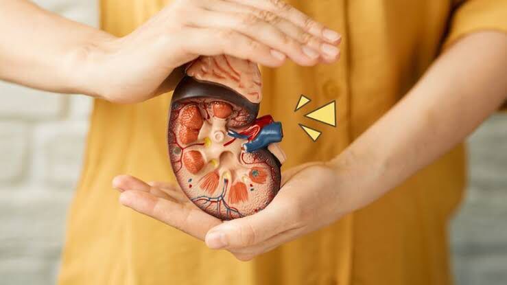 Yuk, Jaga Kesehatan Ginjal dengan 10 Asupan Ini