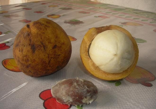 11 Buah Unik di Dunia, Nomor 7 Mirip Manggis