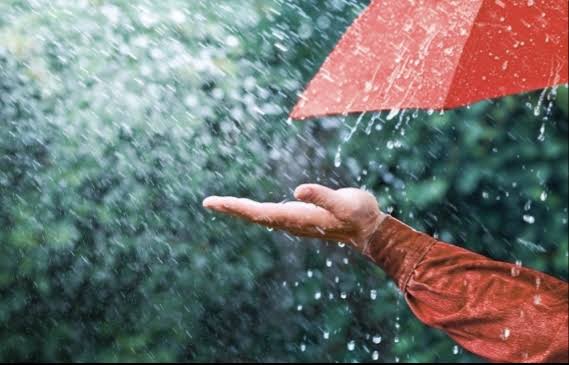 5 Kandungan Air Hujan yang Perlu Kamu Ketahui