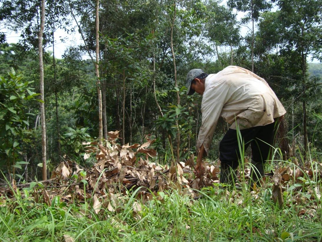 Peduli Lingkungan, Warga Konawe Selatan Raih Penghargaan Kalpataru KLHK 2022
