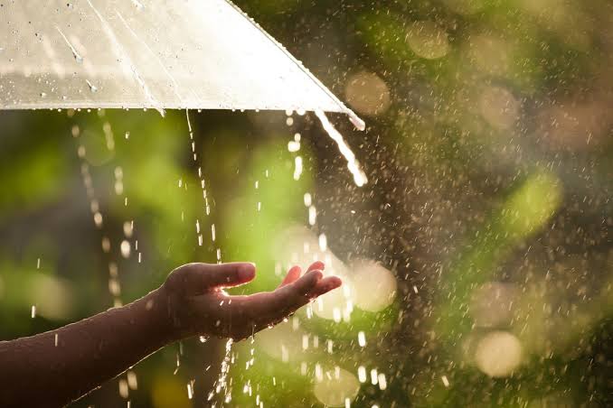 Benarkah Air Hujan Bisa Bikin Sakit? Ini Penjelasannya