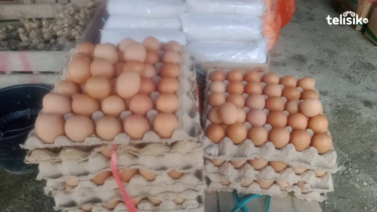 Harga Telur Ayam Ras di Kolaka Utara Melambung Tinggi