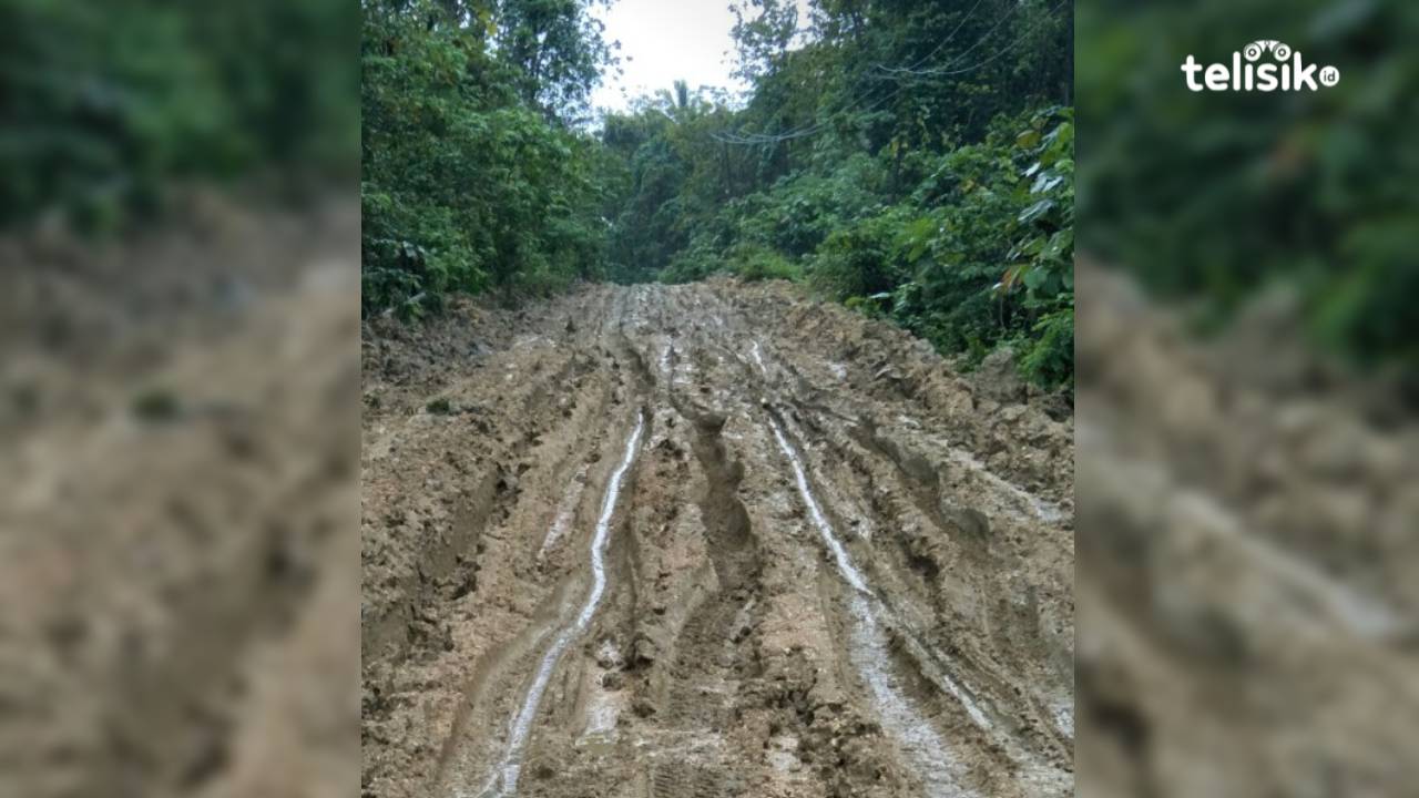 Jalan Desa Bobolio hingga Desa Wawouso Konawe Kepulauan Rusak Parah