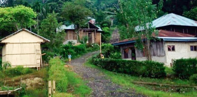 Kecamatan Cibal Barat Manggarai NTT, Terdeteksi Rawan Pangan
