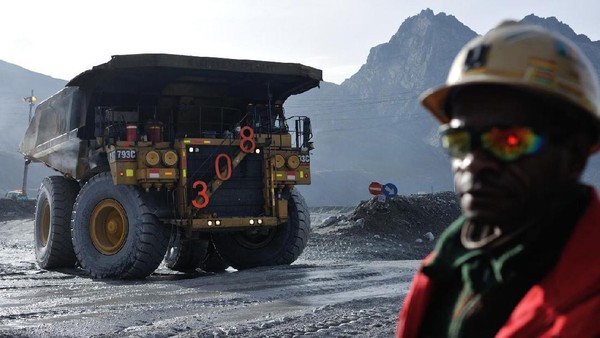 Lowongan Kerja: PT Freeport Buka 20 Posisi untuk Fresh Graduate, Begini Cara Daftarnya