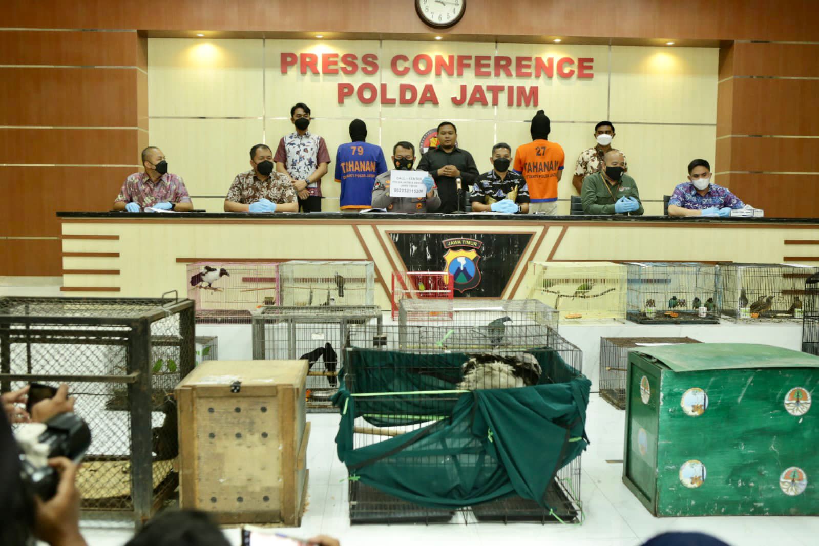 Polda Jawa Timur Gagalkan Perdagangan Satwa Dilindungi