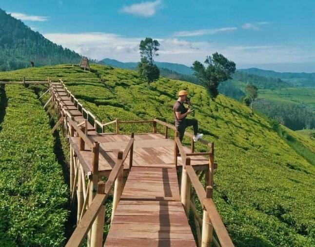 5 Fakta Healing di Alam Ternyata Bisa Menyembuhkan