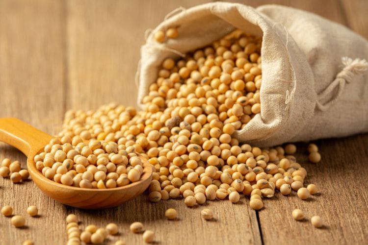 9 Obat Alami Atasi Kolesterol Tinggi