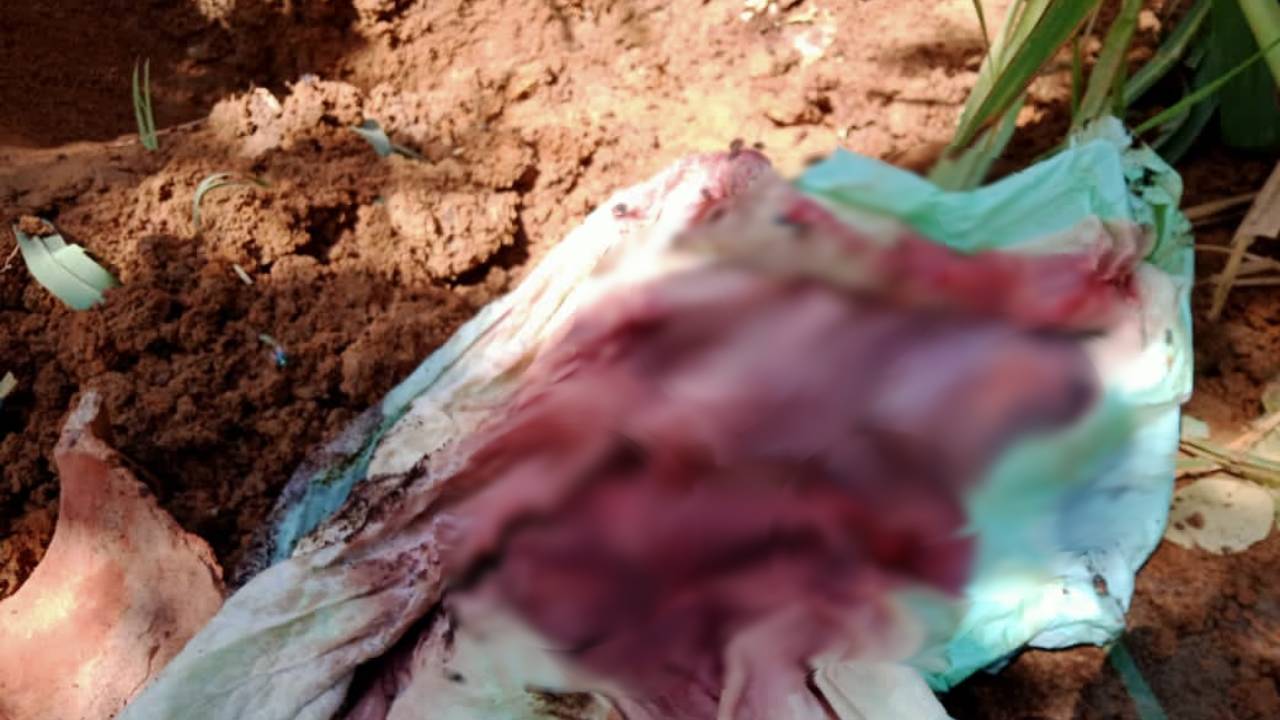 Hamil di Luar Nikah, Siswi SMA Ini Nekat Kubur Janin Perempuannya