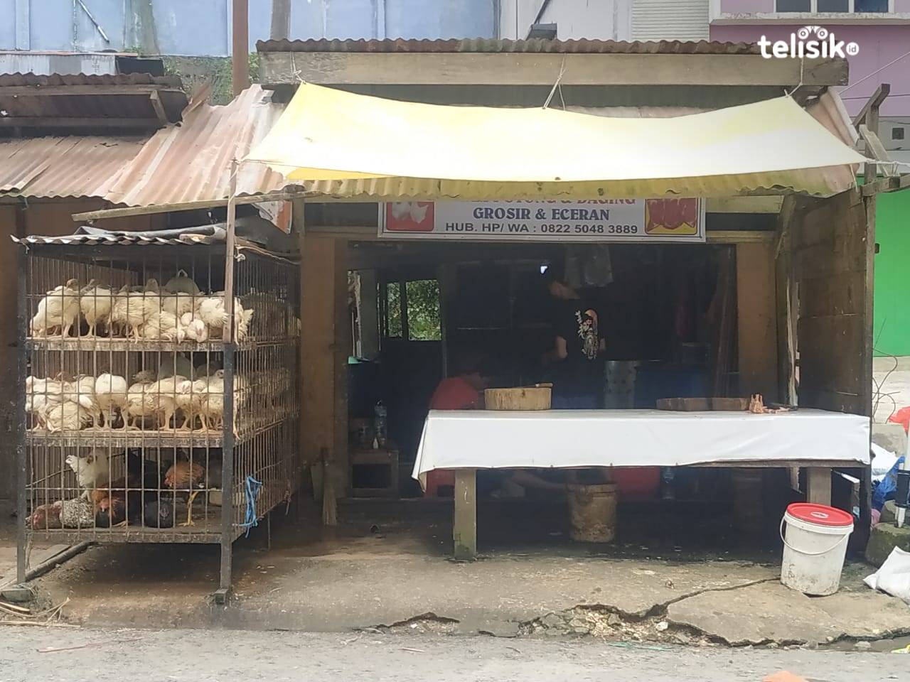 Lonjakan Harga Ayam di Tengah Kenaikan BBM