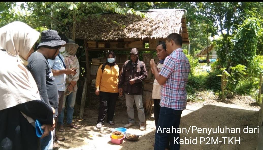 Masyarakat Sulawesi Tenggara Bisa Kelola Hutan Lalui Program Perhutanan Sosial