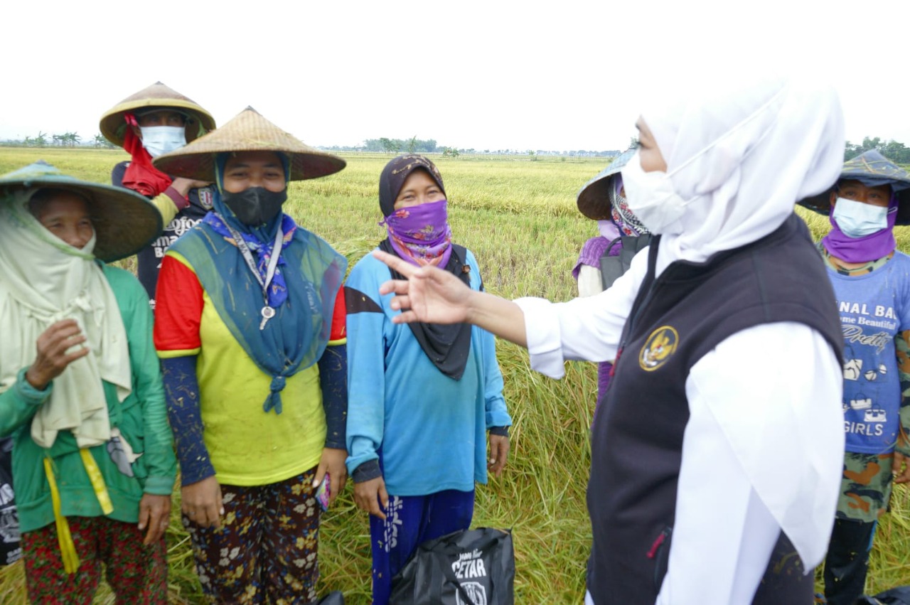 NTP Petani di Jawa Timur Naik