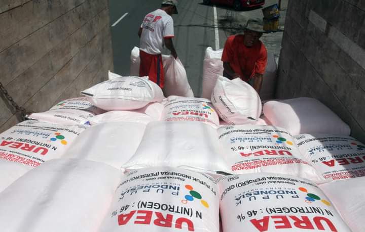 Petani Kolaka Utara Tak Mesti Beli Pupuk Subsidi Sistem Paket