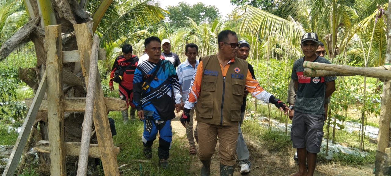 Tekan Laju Inflasi, Pemda Muna Barat Sasar Petani Cabai