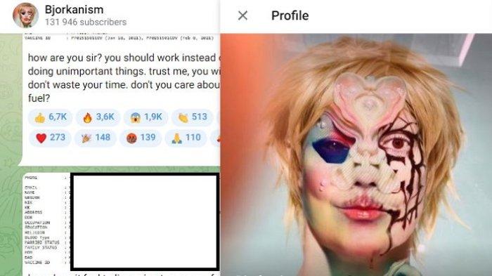 Ternyata Begini Sosok Hacker Bjorka, Peretas Misterius yang Serang Jokowi