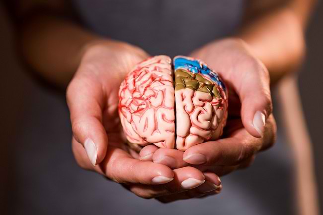 5 Kebiasaan Ini Ternyata Bikin Otak Lemot, Termasuk Terlalu Lama Sendiri