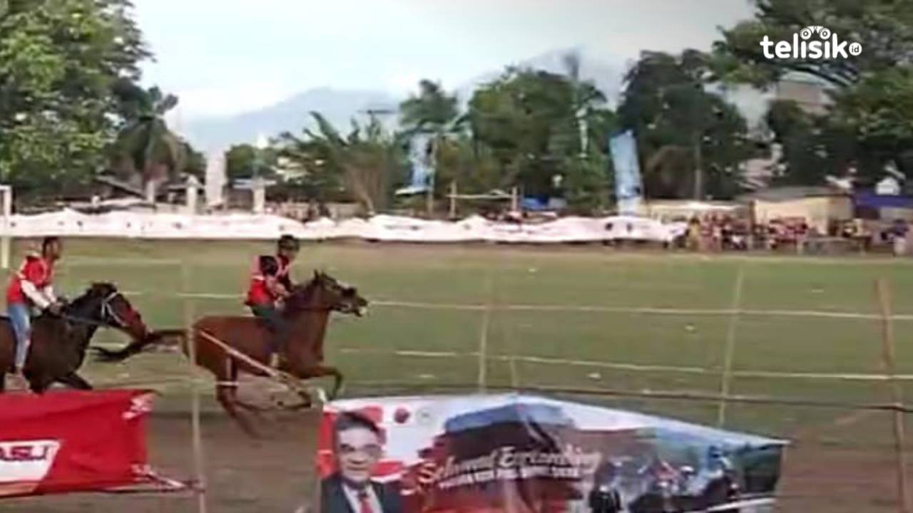 5 Kuda dari Manggarai Ikut Pacuan di Sikka, Putri Nanga Banda Masuk Final
