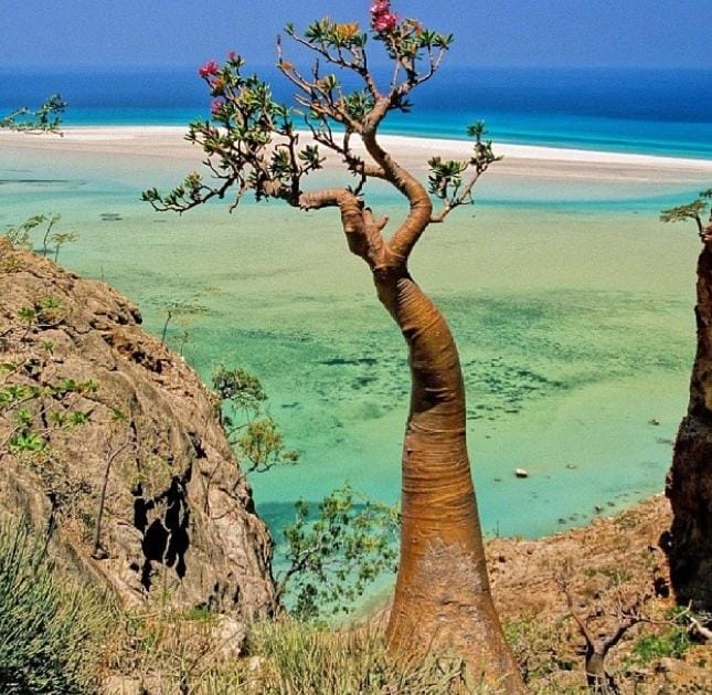 5 Wisata Tersembunyi di Dunia, Ada Indonesia