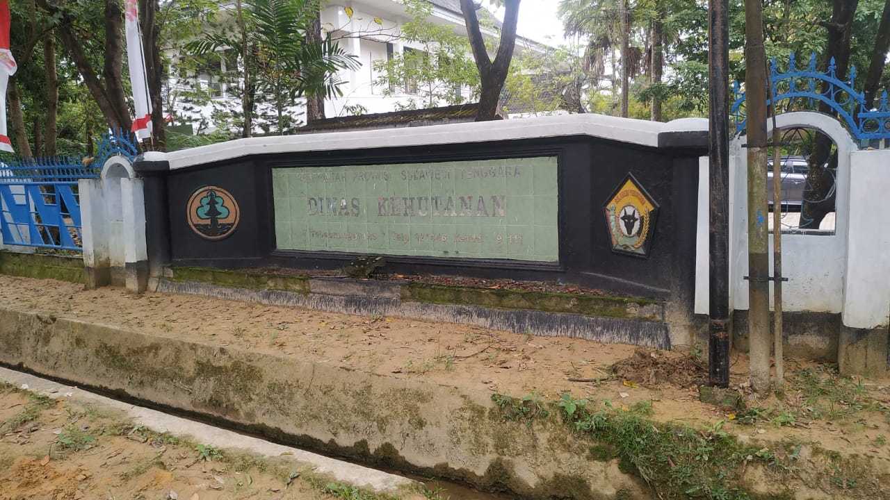 Dishut Sulawesi Tenggara Akan Bina Pengusaha Bangsal Kayu