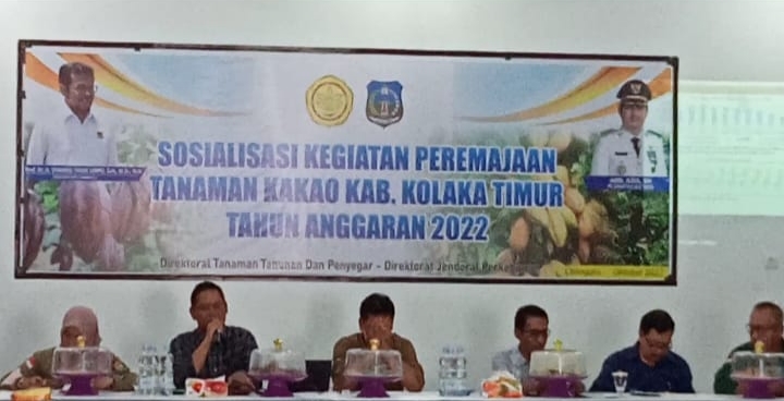 Pemkab Kolaka Timur Targetkan Peremajaan  Kakao di Dua Kecamatan
