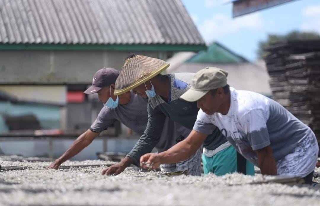 Desa Waburense, Destinasi Wisata Pengelolaan Ikan Teri di Buton Tengah