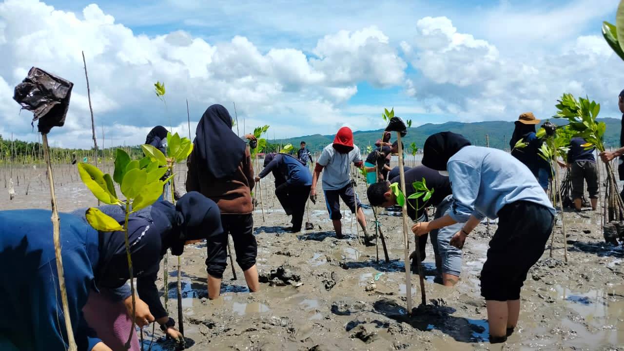 Kenalkan Lingkungan Pesisir, Mahasiswa Baru UHO Diajar Rehabilitasi Mangrove
