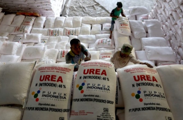 Tahun 2023 Pemerintah Hanya Subsidi 2 Jenis Pupuk untuk 9 Komoditas Pertanian