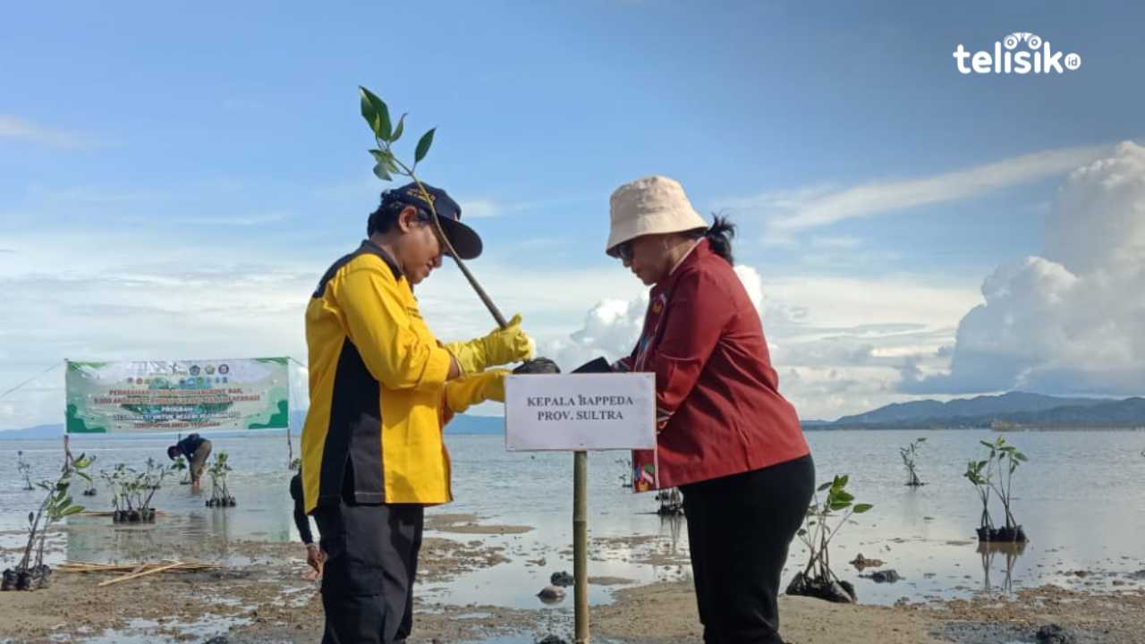 Tanam Mangrove dan Transplantasi Terumbu Karang, Bappeda Sulawesi Tenggara Apresiasi PT SMI
