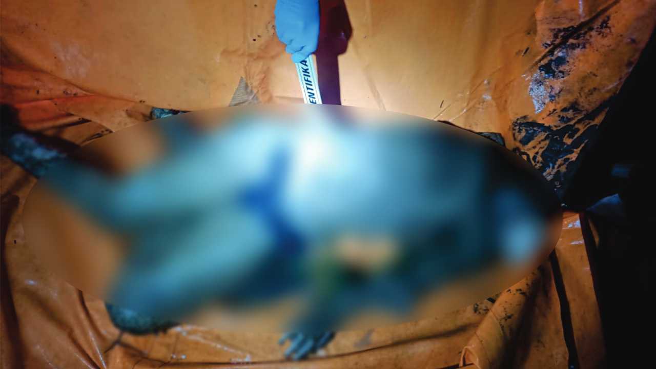 Hanyut di Sungai, Pelajar Ini Ditemukan Tewas Tersangkut di Ranting Pohon