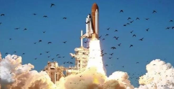 Hilang 36 Tahun, Puing Pesawat Ruang Angkasa Challenger Ditemukan