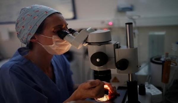 Ilmuwan Hidupkan Sejumlah Virus Berusia Puluhan Ribu Tahun Akibat Pemanasan Global