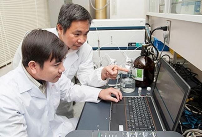 Ilmuwan Temukan Anti Kanker Momilactone dari Sekam Padi