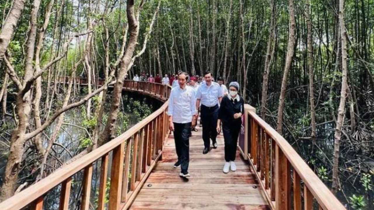 Jokowi Ungkap Sudah 17 Kepala Negara Nyatakan Siap Hadiri KTT G20