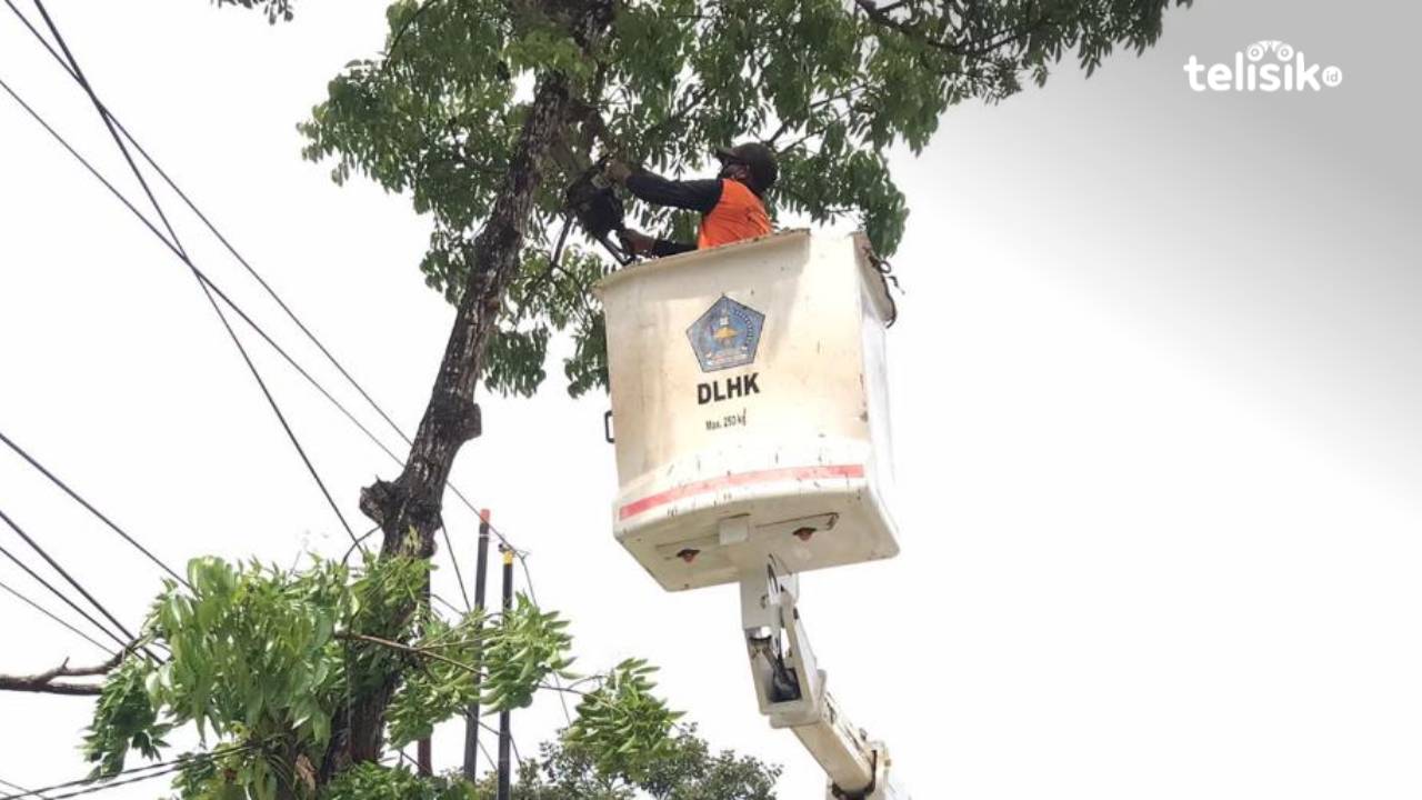 Pemkot Kendari Cegah Kecelakaan dengan Pangkas Pohon