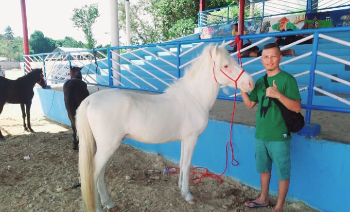 Pordasi Manggarai Dikritik karena Lomba Pacuan Kuda Vakum