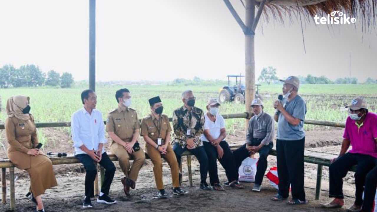 Siapkan Lahan 700 Ribu Hektare, Jokowi Dorong Kemandirian Gula