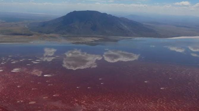 Unik, Danau Ini Bisa Ubah Hewan Jadi Patung