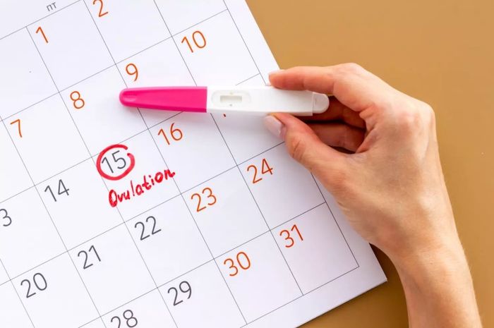 3 Hal Penting untuk Merencanakan Kehamilan