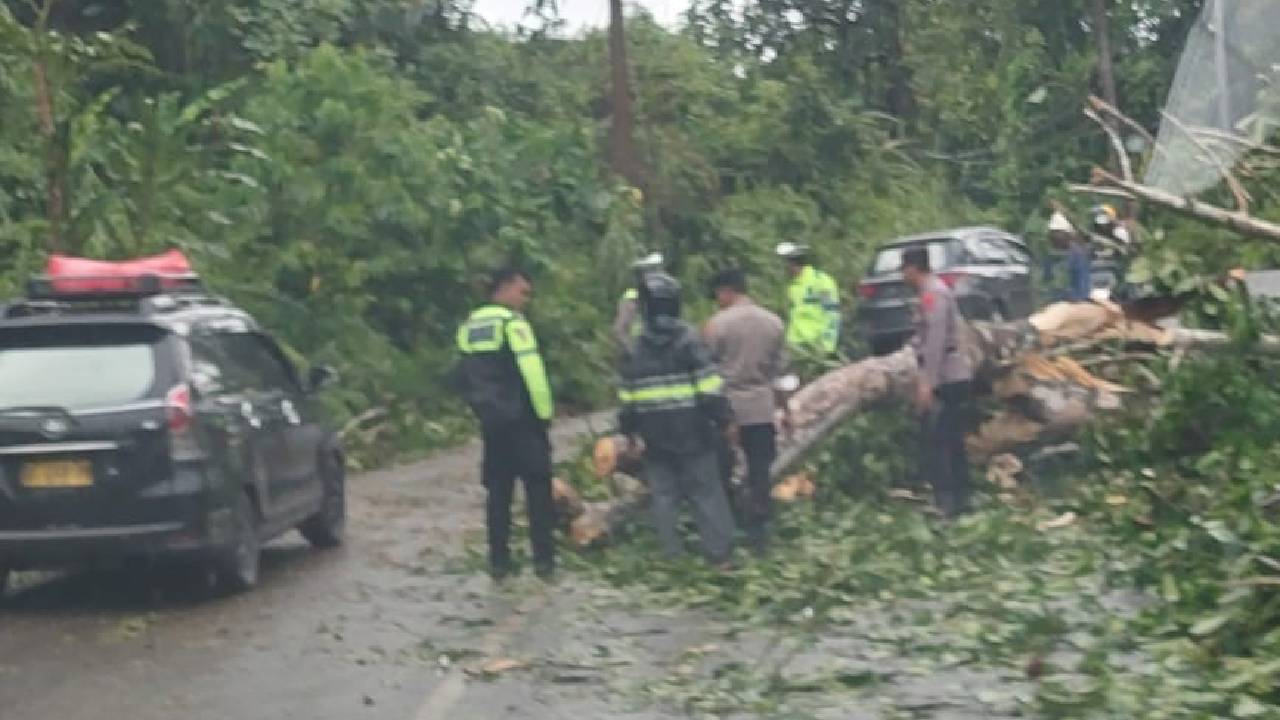 Angin Kencang Tumbangkan Tiang Listrik di Konawe Selatan